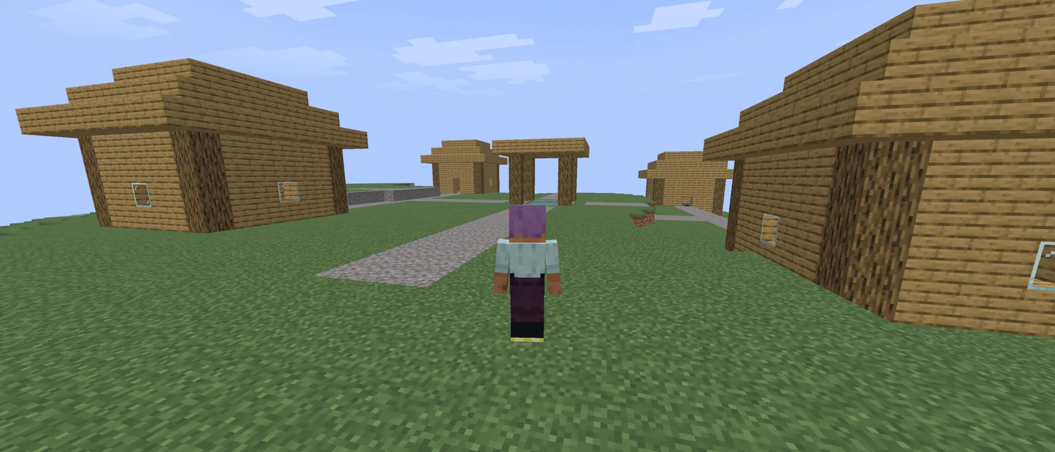 A player standing in a village generated by vib-MC, with wooden houses around a cobblestone path under a blocky sky.